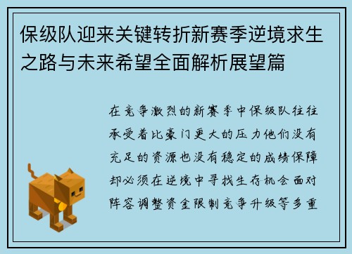 保级队迎来关键转折新赛季逆境求生之路与未来希望全面解析展望篇